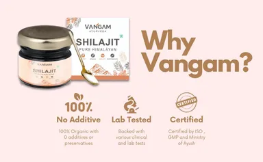 Vangam Pure Himalayan Shilajit Resin 20g Natural Ayurvedic Energy Booster for Men Stamina Strength Immunity Testosterone Support Original Shilajit India thumbnail 3