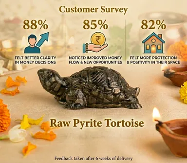 Raw Pyrite Turtle for Wealth & Business Success | Natural Money Tortoise Feng Shui Crystal for Office Desk | Pyrite Stone for Financial Growth, Prosperity & Positive Energy – Energized & Cleaned thumbnail 1