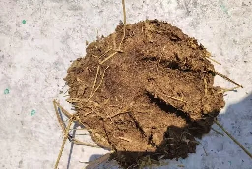 Natural Havan Puja Combo Pack with Gobar Uple Cow Dung Cakes and Mango Wood Sticks Eco Friendly Organic Havan Samagri Kit for Home Puja Yagya Rituals  image 2