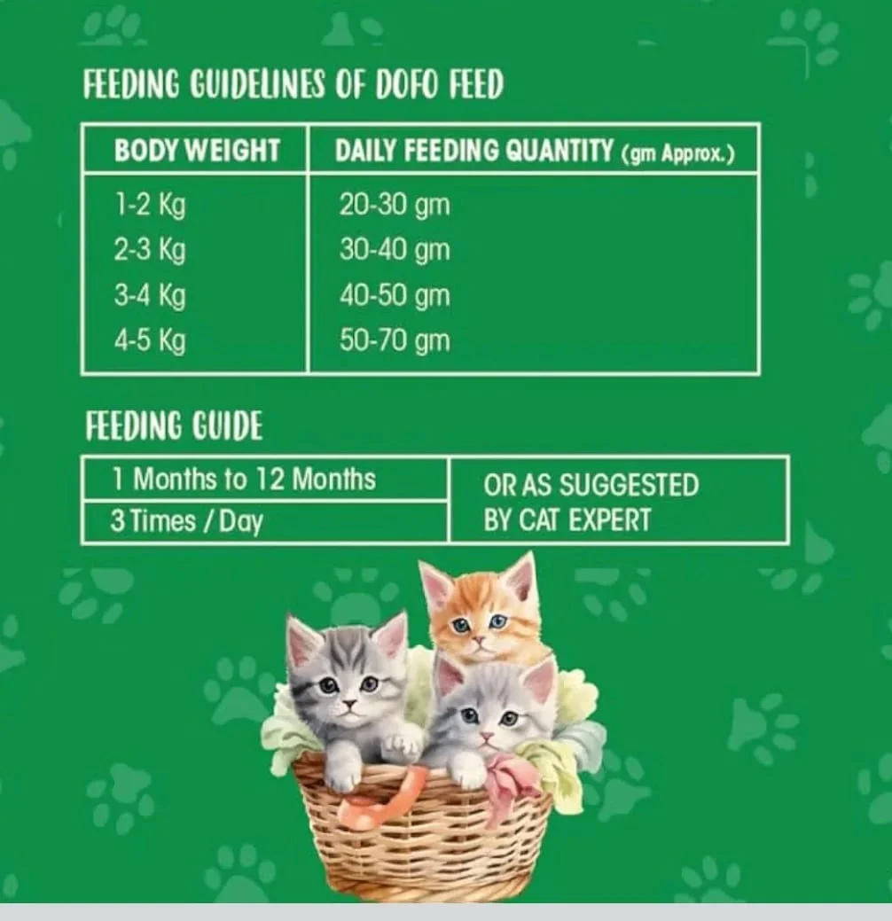 DoFo MeWoW Kitten Gold Cat Food Fresh Fish Vegetable 1kg Pack of 2 High Protein Dry Kitten Food Complete Balanced Nutrition for Growth Immunity Digestion Healthy Bones Brain Development image 2