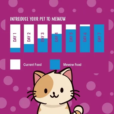 Dofo MeWoW Adult Cat Food Salmon Tuna 1kg High Protein Dry Cat Food for Adult Cats Complete Balanced Nutrition for Healthy Skin Coat Digestion Immunity Support Crunchy Kibble Pet Food thumbnail 1