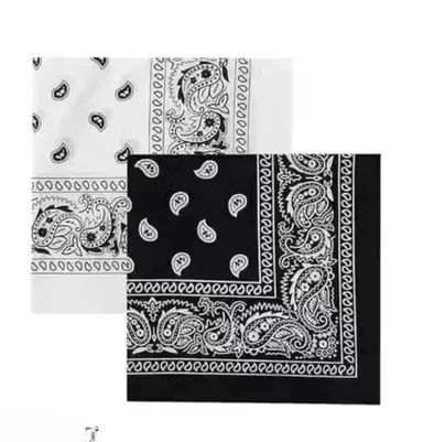 Unisex 100% Cotton Printed Bandana Handkerchief Set Pack of 2 Black White 20x20cm Head Wrap Face Cover Wristband Multi-Use Scarf for Men Women Biker Gym Travel Outdoor thumbnail 1