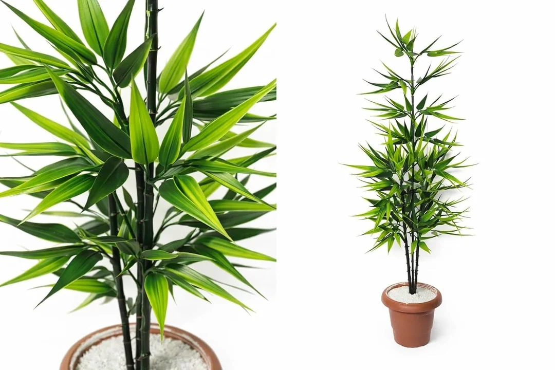 Artificial Bamboo Plant 80cm Tall Double Tone 60 Leaves | Large 5 Stick Faux Tree for Indoor Home, Office & Living Room Decoration, Without Pot image 2