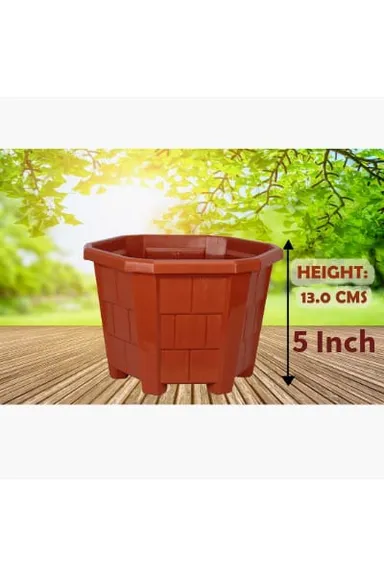 5 Inchs Hexagonal Plastic small pots, small nursery flower pot Pack of 4, Small Durable Plant pots small size, Indoor and Outdoor plants pot, flower Plastic Pot, Orange thumbnail 1