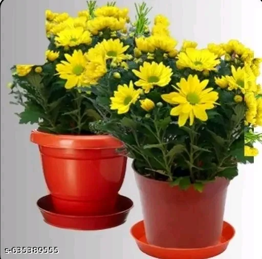 Hanging Planter Pot for Balcony & Garden Decor, Durable Plastic Flower Pots with Metal Chain & Hook, Assorted Vibrant colors for Outdoor Indoor Plants image 4