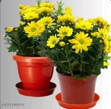 Hanging Planter Pot for Balcony & Garden Decor, Durable Plastic Flower Pots with Metal Chain & Hook, Assorted Vibrant colors for Outdoor Indoor Plants thumbnail 3