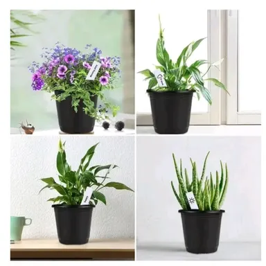 Plastic Multicolor Hanging Planters 4Pcs (8 Inch, Multicolor), Flower Hanging Hook Pots for Home and Balcony Railing Garden, Hanging Planters for Home Plants, Hooked Pots thumbnail 2