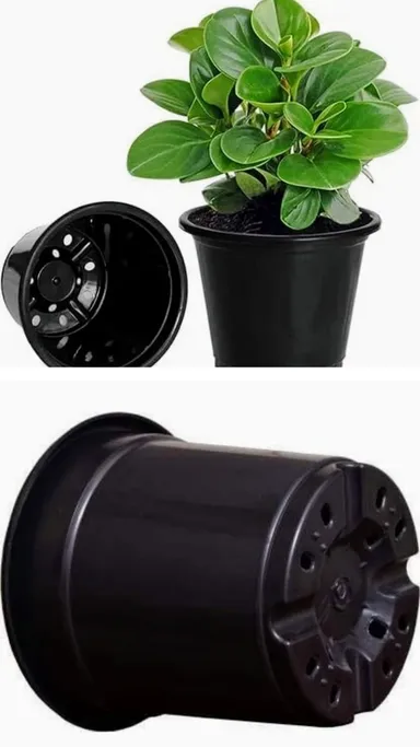 Plastic Nursery Pots 4 Inch Black for Seedlings, Small Gamla for Indoor Plants, Succulents, Flowers, and Balcony Garden, Reeusable Lightweight Planter Pot Set (6 Pack thumbnail 2