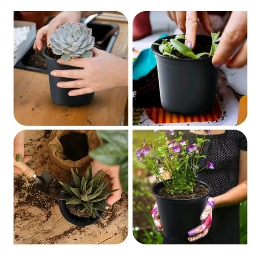 Plastic Nursery Pots 4 Inch Black for Seedlings, Small Gamla for Indoor Plants, Succulents, Flowers, and Balcony Garden, Reeusable Lightweight Planter Pot Set (6 Pack image 4