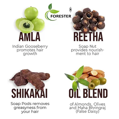 Forester Amla Aritha Shikakai Anti Dandruff Herbal Shampoo with Conditioner for Hair Fall Control - 200 ml thumbnail 2