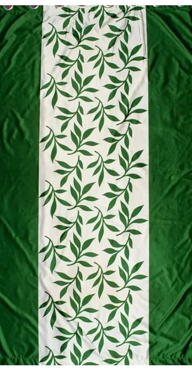 Shinzo Polyester Door Curtain for Living Room Bedroom Hall Dining Room Kitchen Home Office Window Privacy Curtain 1 Piece Decorative Washable Long Door Drapes Green 5.0 feet thumbnail 1