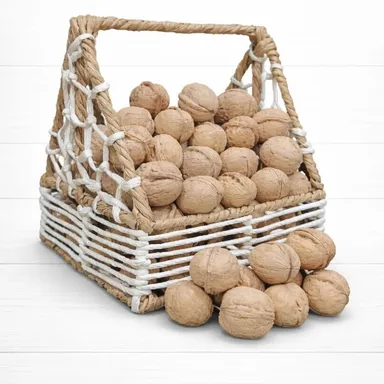 Kashmiri Walnuts In Shell 1Kg | Big Size, Fresh, Natural & Crunchy Dry Fruits thumbnail 1