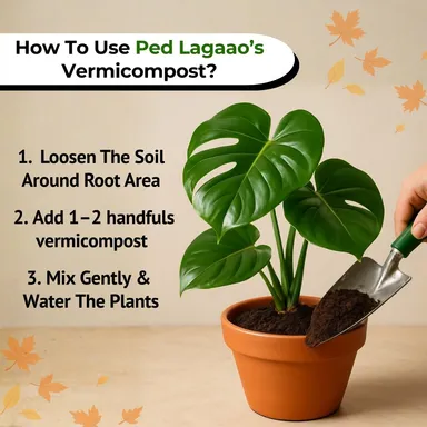 Ped Lagaao Vermicompost for Plants 1kg | 100% Organic Fertilizer & Natural Manure | Improves Soil Health, Growth & Yield | Ideal for Home Gardening, Pots & Kitchen Garden thumbnail 4