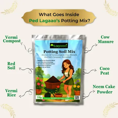 Ped Lagaao Potting Mix for Plants 1kg | Ready to Use Organic Soil Mix with Vermicompost, Cocopeat & Neem Cake | Ideal for Indoor & Outdoor Home Gardening Plants thumbnail 2