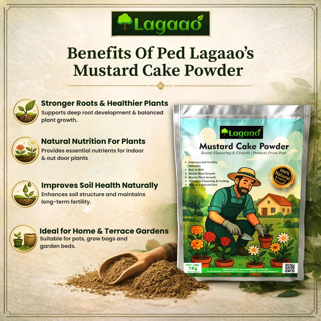 Ped Lagaao Mustard Cake Powder 1kg | organic fertilizer for plants, improves soil health, boosts growth, flowering & natural plant nutrition. image 2
