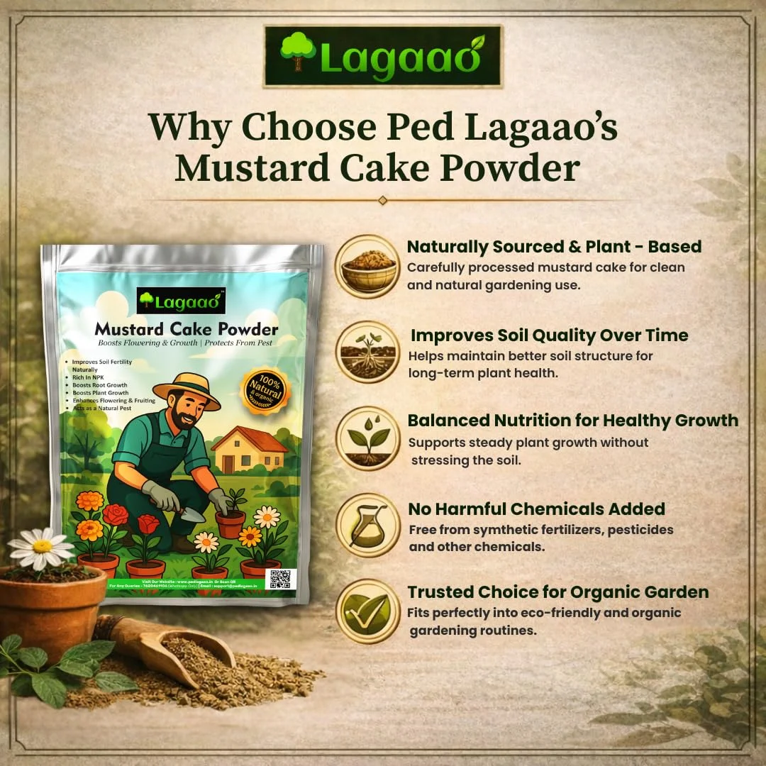 Ped Lagaao Mustard Cake Powder 1kg | organic fertilizer for plants, improves soil health, boosts growth, flowering & natural plant nutrition. image 3