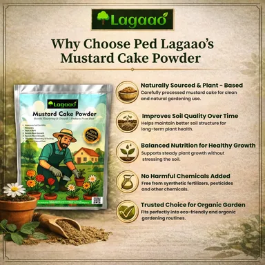 Ped Lagaao Mustard Cake Powder 1kg | organic fertilizer for plants, improves soil health, boosts growth, flowering & natural plant nutrition. thumbnail 2