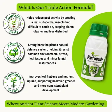 Ped Lagaao Plant Guard+ Herbal Plant Spray 250ml | Natural Pest Control, Organic Dashparni Formula for Indoor & Outdoor Plants thumbnail 2