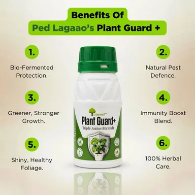Ped Lagaao Plant Guard+ Herbal Plant Spray 250ml | Natural Pest Control, Organic Dashparni Formula for Indoor & Outdoor Plants thumbnail 3