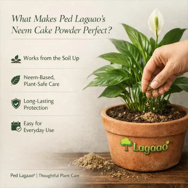 Neem Cake Powder for Plants 1kg | Organic Neem Khali Fertilizer for Gardening | Natural Soil Conditioner & Pest Repellent | Improves Soil Health, Root Growth for Home & Terrace Garden thumbnail 1