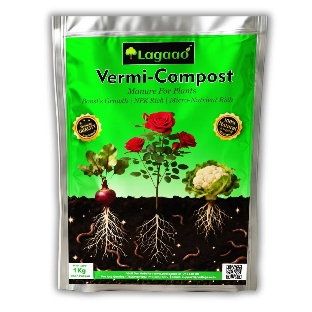 Vermicompost 1kg | Organic Fertilizer & Natural Manure for Plants | Soil Booster for Home Gardening & Pots image 3