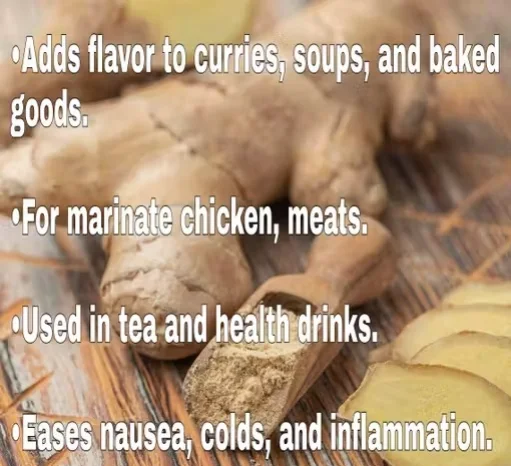 Pure Natural Ginger Powder 50g | Premium Quality Spice for Cooking & Health image 2