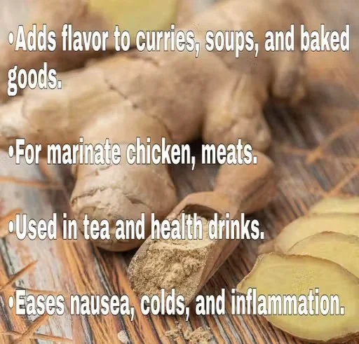 Pure Natural Ginger Powde image 3