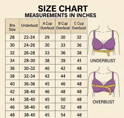 Women Lightly Padded Non Wired T-Shirt Bra Combo Pack of 2 (Pink & Black) Women Bra 28B Pink Black Combo Pack of 2 38B image 4