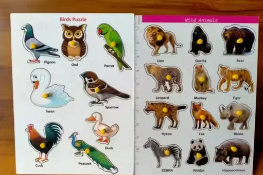Wooden Puzzle Birds and Wild Animals for Kids Learning Toy image 2