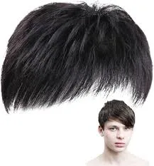 Ritzkart Men's Black Short Straight Hair Patch with Front Fringe Natural Look Synthetic Hair Topper for Baldness Coverage Daily Wear Party Styling Hair Replacement Wig for Men thumbnail 1