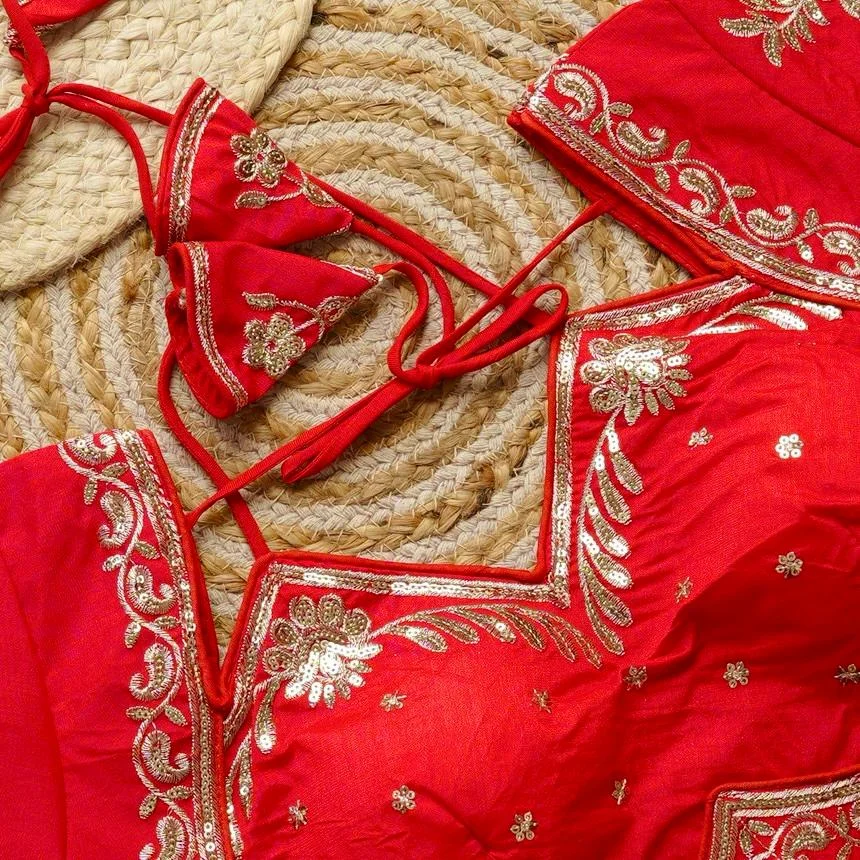 Red Silk Sleeveless Designer Blouse with Heavy Zardosi and Sequins Hand Embroidery featuring Dori Back Closure Red Silk XXL image 3