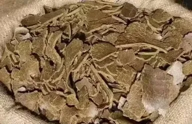 Mustard Cake (Sarso Khal) Organic Plant Fertilizer for Terrace Garden – 400g Pack thumbnail 3
