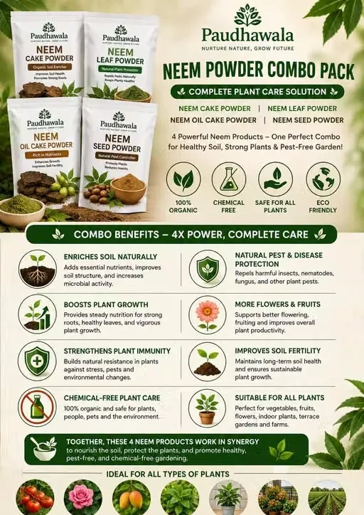 Neem Cake, Mustard Cake, Bone Meal, Epsom Salt & Bio DAP Fertilizer Combo Pack 250g Each | Plant Growth Booster image 3
