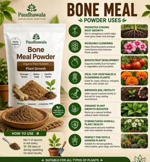Neem Cake, Mustard Cake, Bone Meal, Epsom Salt & Bio DAP Fertilizer Combo Pack 250g Each | Plant Growth Booster image 2