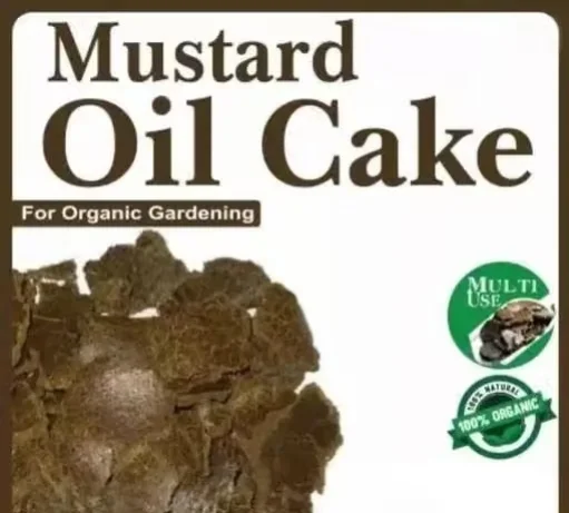 Mustard Cake Fertilizer 1kg (Sarso Ki Khali) | Organic Plant Food for Gardening, Flowering & Vegetable Plants image 3