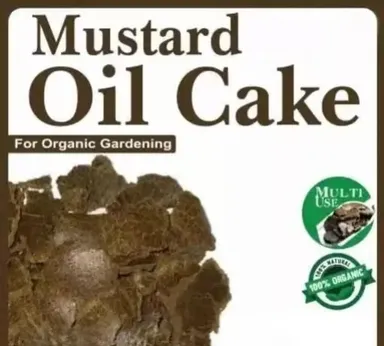 Mustard Cake Fertilizer 1kg (Sarso Ki Khali) | Organic Plant Food for Gardening, Flowering & Vegetable Plants thumbnail 2