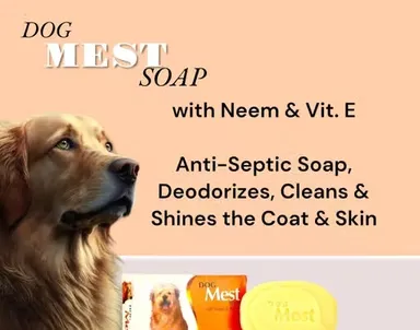 Dog Mest General Cleansing Medicated Soap & Shampoo 200ml | Pet Coat Cleanser for Dogs | Vitamin E Dog Shampoo thumbnail 1
