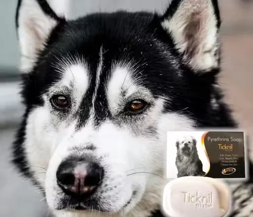 Dog Anti Tick & Anti Itch Soap with Neem & Aloe Vera | 4 x 75g image 4