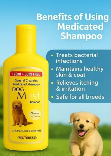 Dog Mest Medicated Pet Shampoo for Dogs & Cats | Anti Tick, Anti Itch, Skin Care Shampoo 200ml thumbnail 2