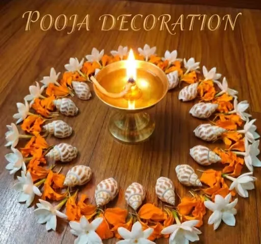 Natural Seashells for Jewelry Making – 250 Pieces | 7 Types Mixed Cowrie & Conch Shells image 4