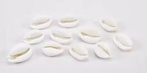 White Cowrie Kaudi Shell Beads 10-16mm Open Back for Threading, Jewellery Making, DIY Craft & Home Decoration, 100 Pcs with Free Haridwar Brahmkund Gangajal 60ml image 3