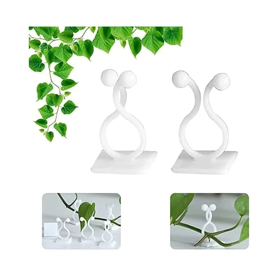 Plant Support Clips Pack of 30 – Plastic Plant Holder Clips for Money Plant, Rose, Creeper, Tomato & Vegetable Plants | Easy Vine Climbing Support Clips for Home Garden, Balcony & Indoor Plants image 2