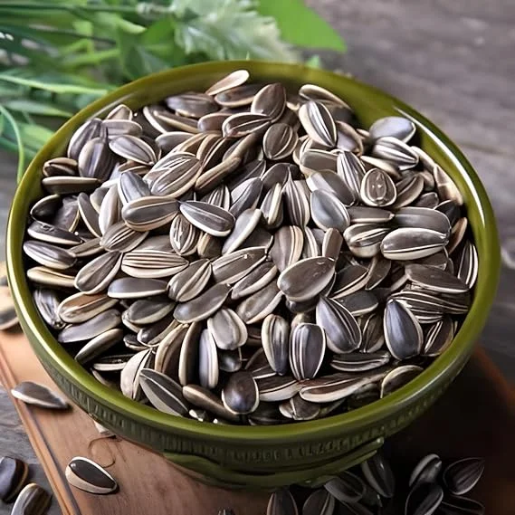 Yellow Sunflower Seeds for Planting – High Germination Non-GMO Garden Flower Seeds for Large Bright Blooms, Home Garden, Balcony Pots & Outdoor Landscaping image 2