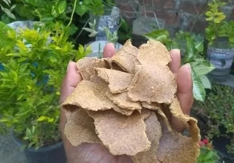 Mustard Cake Fertilizer for Plants 2kg | 100% Organic Plant Food for Vegetables, Flowers, Fruits, Indoor & Outdoor Gardening image 3