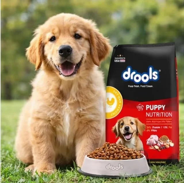 Drools Puppy Nutrition Real Chicken Formula Dry Dog Food for Puppies | Chicken & Egg Protein Rich Complete Balanced Puppy Diet for Healthy Growth, Immunity, Digestion & Coat Care image 1