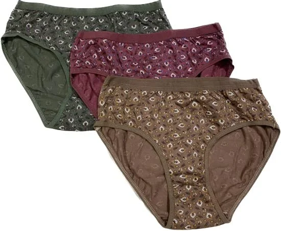 Resty Besty Women’s High Coverage Super Combed Cotton Mid Waist Hipster Panties Pack of 3 | Breathable StayFresh Antimicrobial Soft Cotton Underwear for Everyday Comfort India image 1